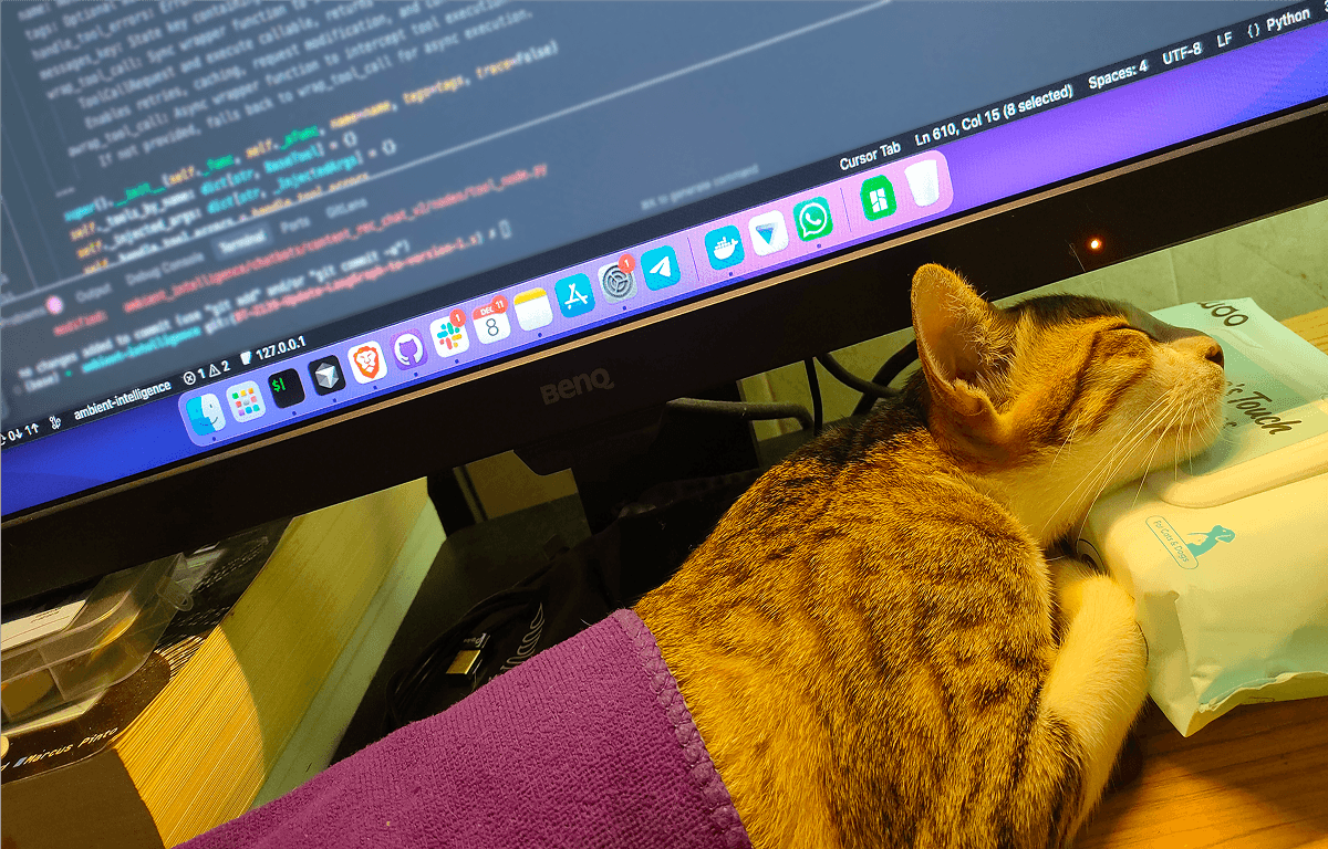 Missy sleeping on Eka's desk while he works